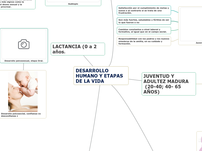 DESARROLLO HUMANO Y ETAPAS DE LA VIDA