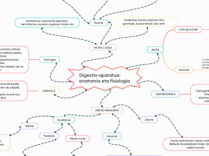 Digestio-aparatua: anatomia eta fisiologia