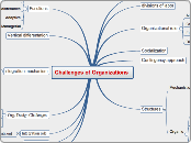 OTD - Chapter 4 Challenges of Organizations