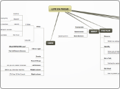 LIFE IN FOCUS_SiteMap