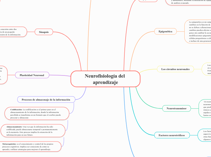 Neurofisiología del aprendizaje