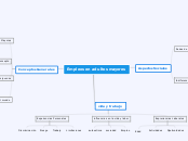 Empleos en adultos mayores - Mapa Mental