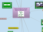 Institución Educativa Normal Superior S...- Mapa Mental