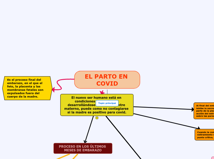 EL PARTO EN COVID - Mapa Mental