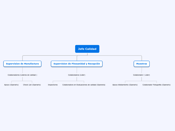 Jefe Calidad - Mapa Mental