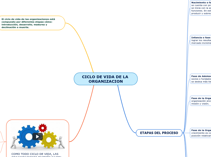 CICLO DE VIDA DE LA ORGANIZACION