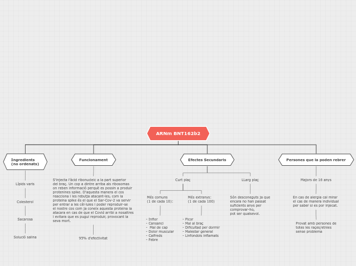 ARNm BNT162b2 - Mapa Mental