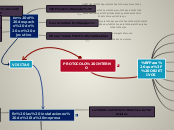 PROTOCOLO INTERNO - Mapa Mental