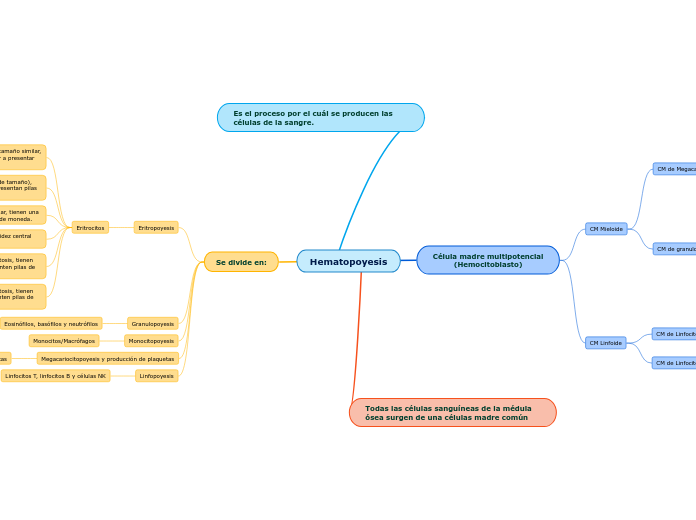 Hematopoyesis - Mapa Mental