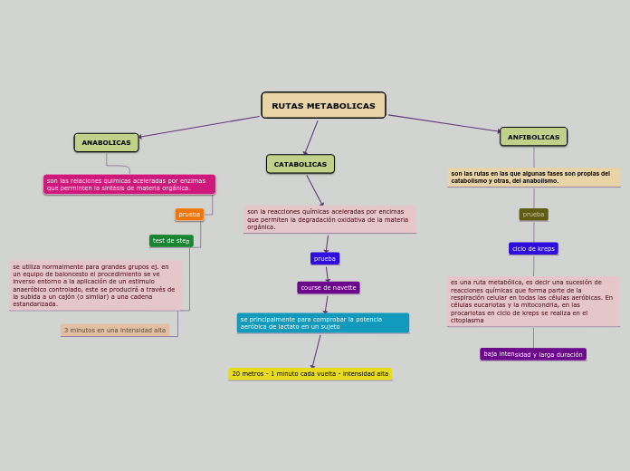 RUTAS METABOLICAS