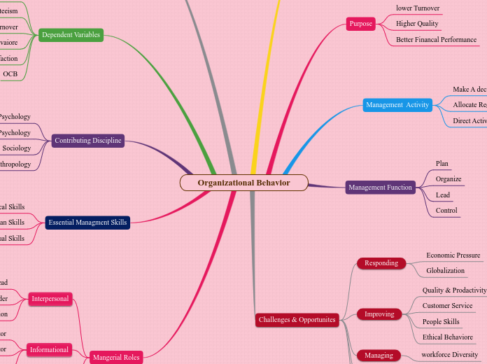 Organizational Behavior