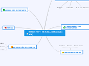 REALISMO Y NATURALISMO(siglo XIX) - Mapa Mental