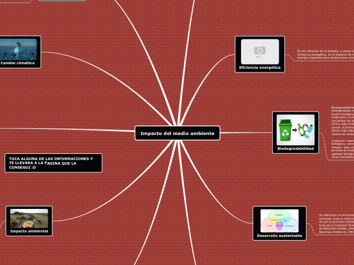 Impacto del medio ambiente - Mapa Mental