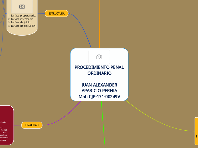 PROCEDIMIENTO PENAL ORDINARIO

JUAN ALEXANDER
APARICIO PERNIA
Mat: CJP-171-00249V