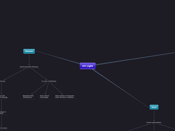 Sample Mind Map