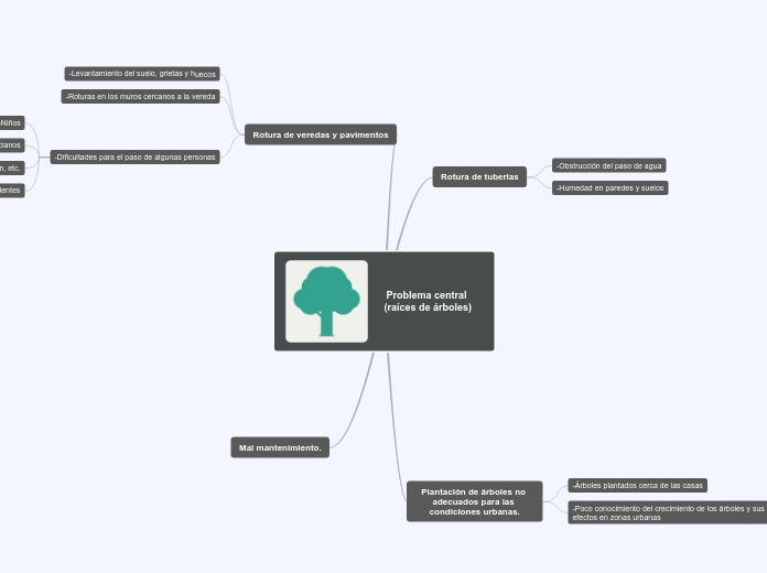 Arbol de problemas (raíces)