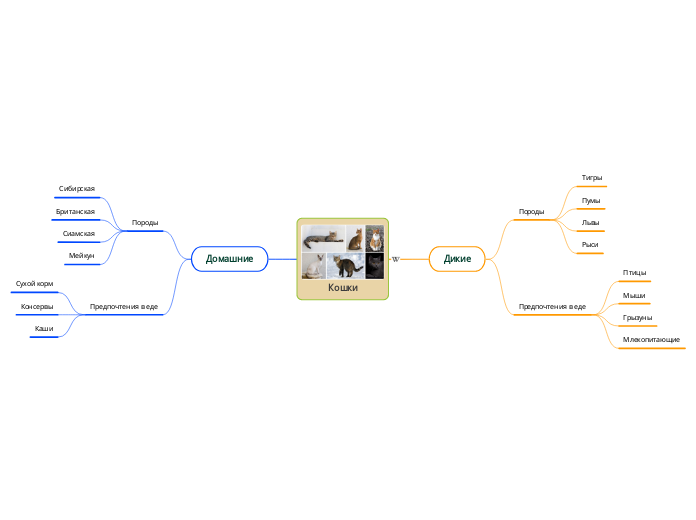 Кошки - Мыслительная карта
