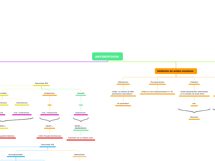 ANTIBIÓTICOS 
