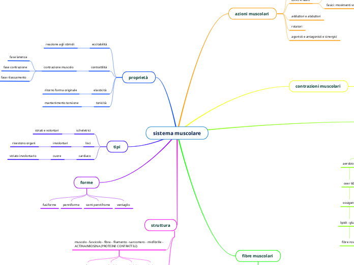 sistema muscolare
