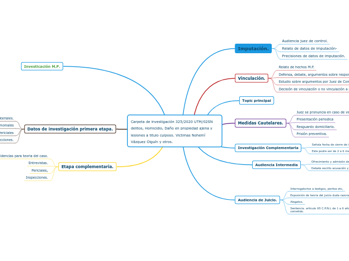 Carpeta de investigación 325/2020 UTM/02SN delitos, Homicidio, Daño en propiedad ajena y lesiones a titulo culposo. Victimas Nohemí Vázquez Olguín y otros.
