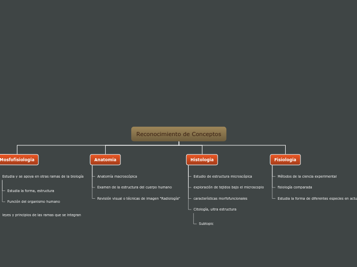 Reconocimiento de Conceptos - Mapa Mental