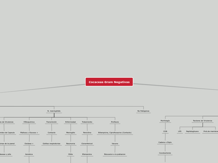 Cocaceas Gram Negativas - Mapa Mental