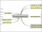 Wyrazenia algebraiczne - Mind Map