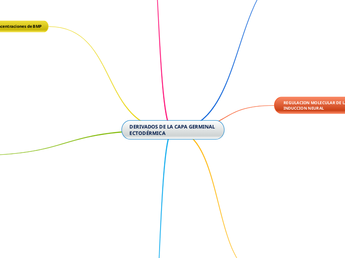 DERIVADOS DE LA CAPA GERMINAL ECTODÉRMICA