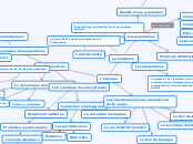 Réseau de concept écologie