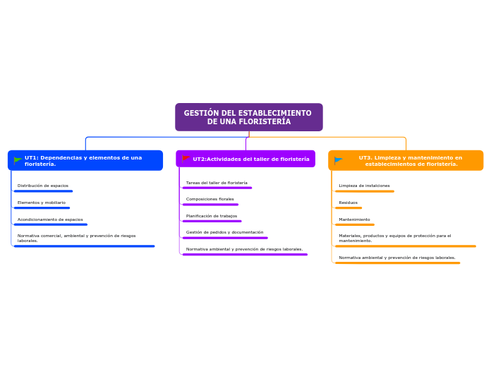 GESTIÓN DEL ESTABLECIMIENTO DE UNA FLOR...- Mapa Mental