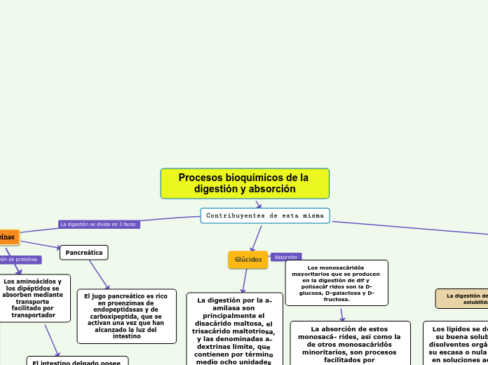 Procesos bioquímicos de la digestión y absorción