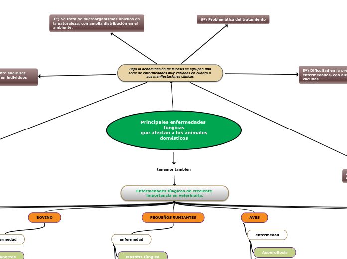 Principales enfermedades fúngicas
que a...- Mapa Mental