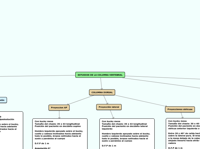 ESTUDIOS DE LA COLUMNA VERTEBRAL