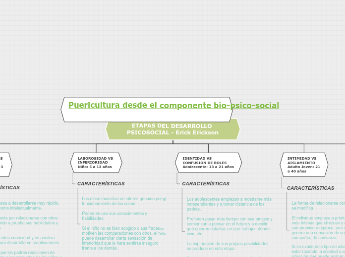 Desarrollo Psicosocial