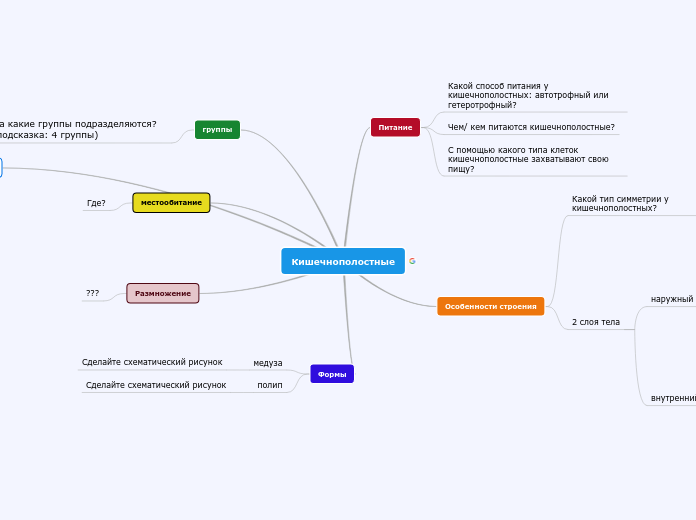 Кишечнополостные - Мыслительная карта