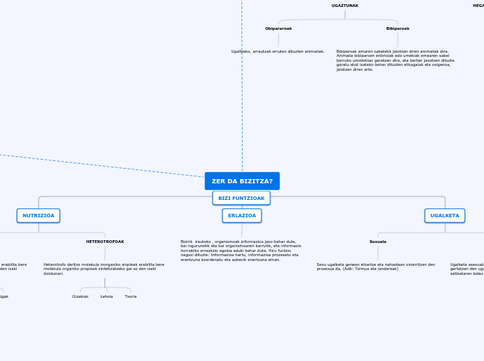 ZER DA BIZITZA? - Mind Map