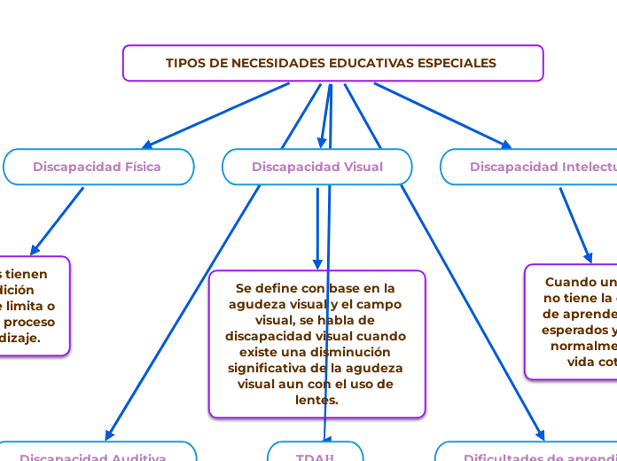 TIPOS DE NECESIDADES EDUCATIVAS ESPECIALES 