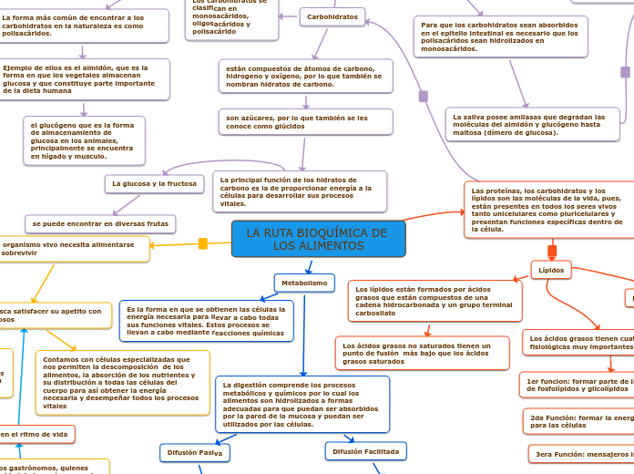 LA RUTA BIOQUÍMICA DE LOS ALIMENTOS