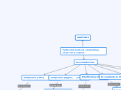 Verificar información sobre un activida...- Mapa Mental