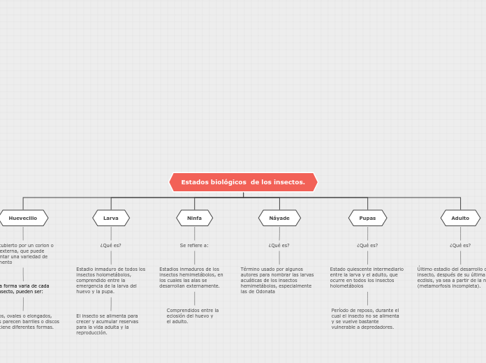 Estados biológicos  de los insectos. - Mapa Mental