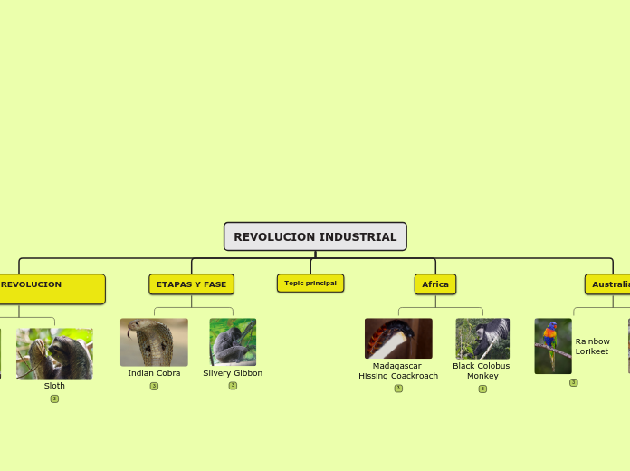 REVOLUCION INDUSTRIAL