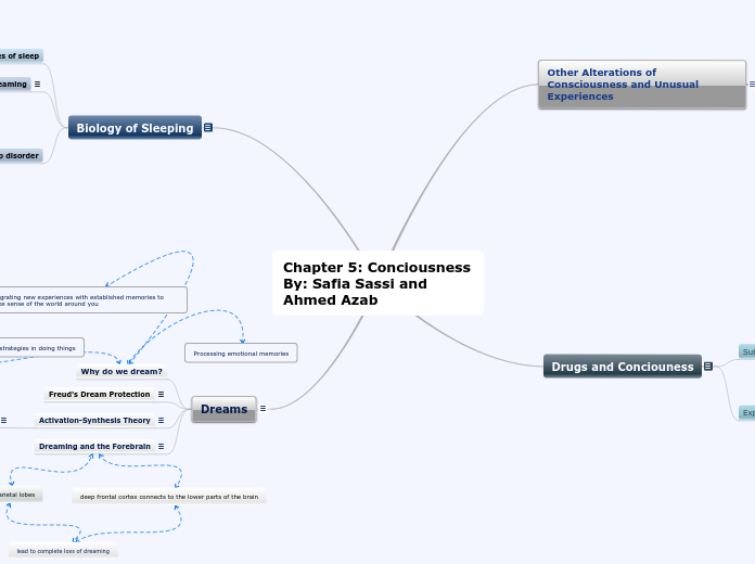 Chapter 5: Conciousness
By: Safia Sassi and Ahmed Azab